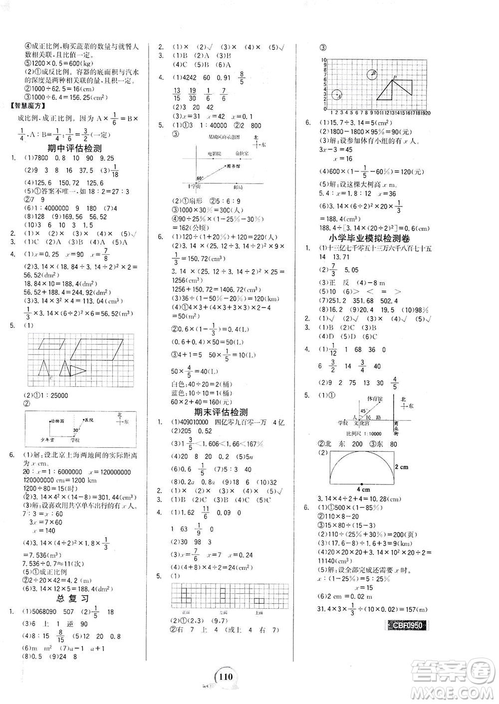 延邊大學(xué)出版社2021世紀(jì)金榜金榜小博士數(shù)學(xué)六年級(jí)下冊(cè)BS北師大版答案