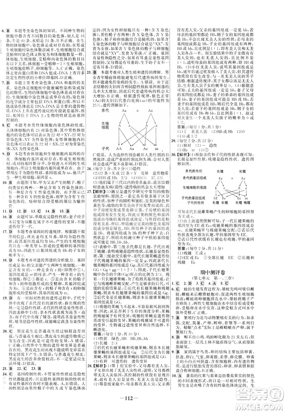 安徽師范大學(xué)出版社2021世紀(jì)金榜百練百勝生物八年級(jí)下冊(cè)人教版答案