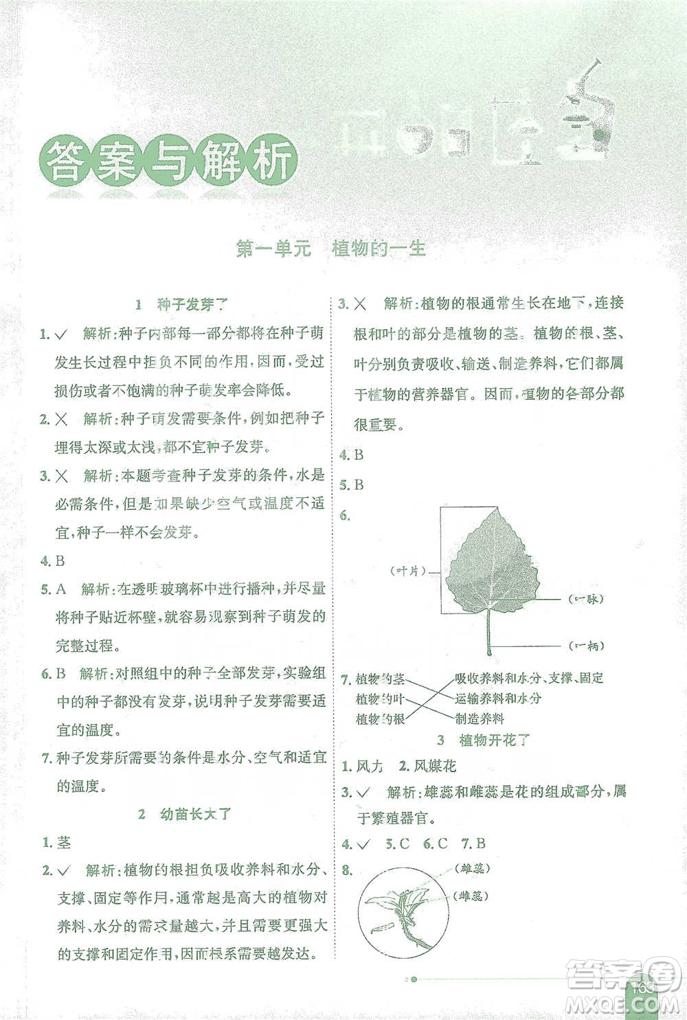 陜西人民教育出版社2021小學(xué)教材全解三年級下冊科學(xué)江蘇版參考答案