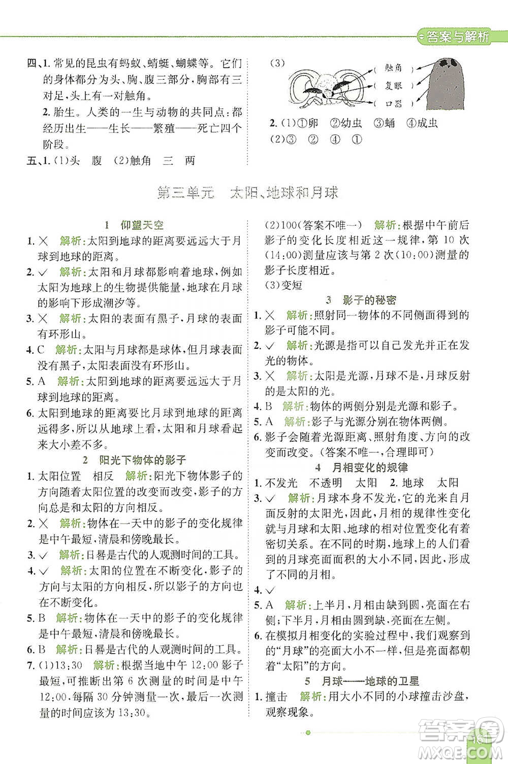 陜西人民教育出版社2021小學(xué)教材全解三年級下冊科學(xué)教科版參考答案