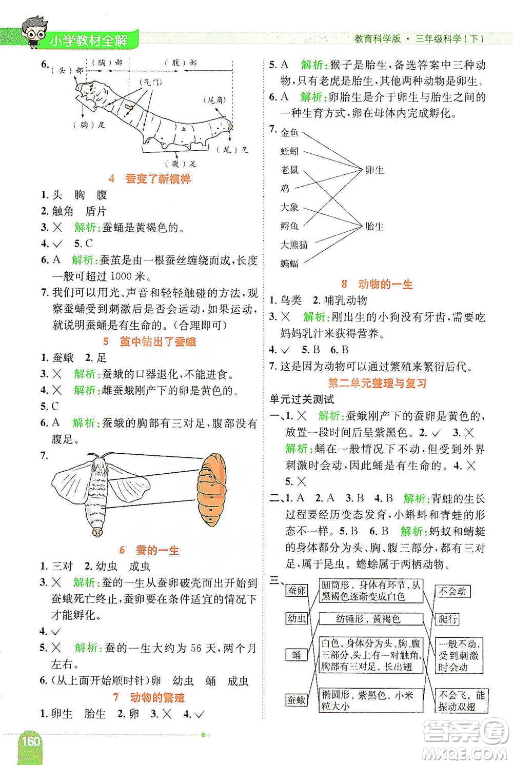 陜西人民教育出版社2021小學(xué)教材全解三年級下冊科學(xué)教科版參考答案