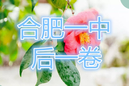 合肥一中2021屆高三最后一卷文科數(shù)學(xué)試卷及答案