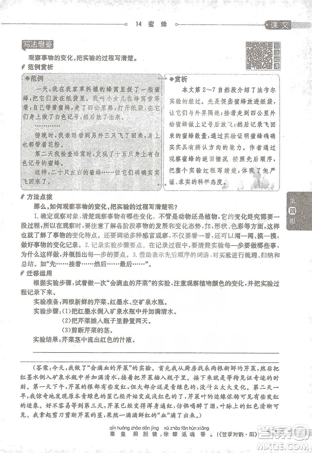 陜西人民教育出版社2021小學(xué)教材全解三年級(jí)語文下冊(cè)人教版參考答案