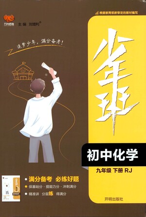 開(kāi)明出版社2021少年班初中化學(xué)九年級(jí)下冊(cè)人教版參考答案