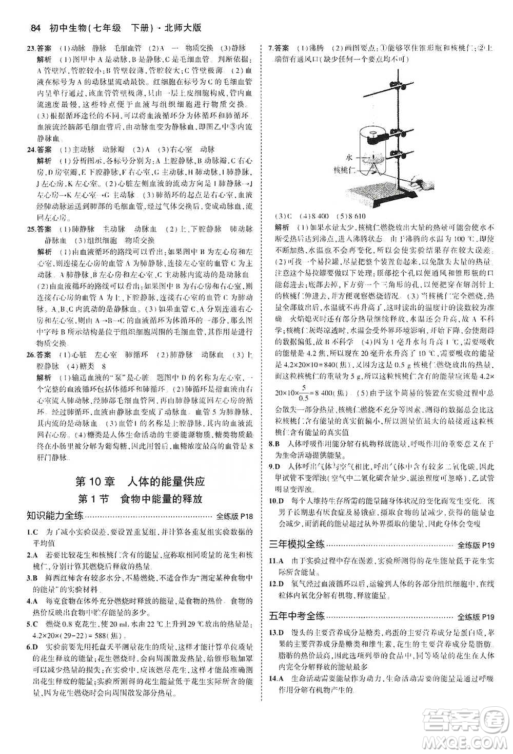 教育科學出版社2021年5年中考3年模擬初中生物七年級下冊北師大版參考答案