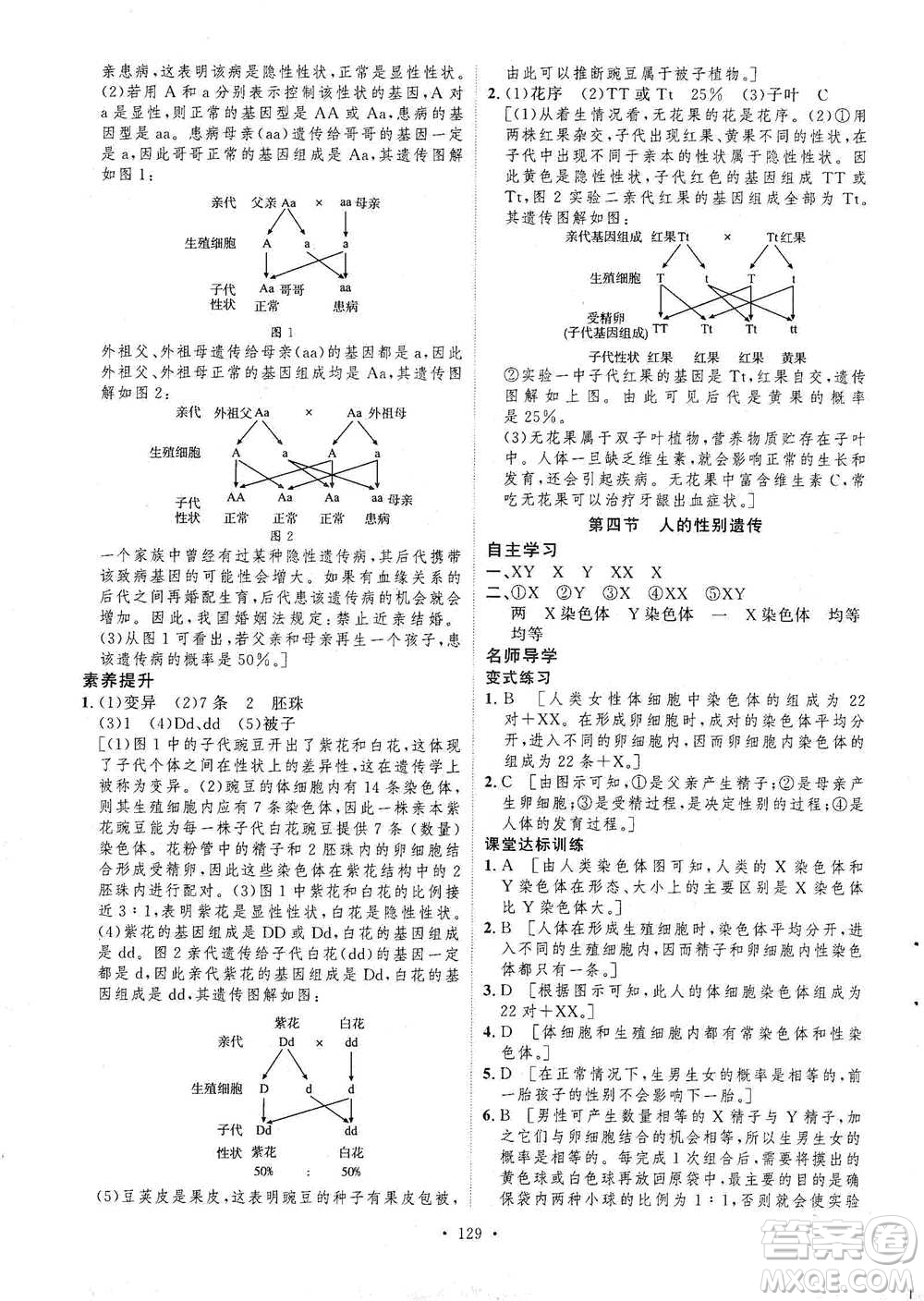 陜西人民出版社2021實驗教材新學案生物八年級下冊人教版參考答案