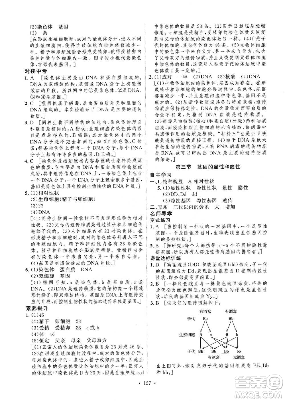 陜西人民出版社2021實驗教材新學案生物八年級下冊人教版參考答案