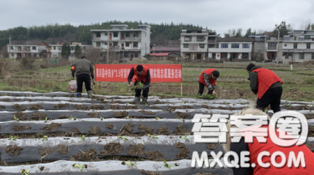 大學(xué)生村官心得體會(huì)1000字2021最新 關(guān)于大學(xué)生村官的心得體會(huì)1000字