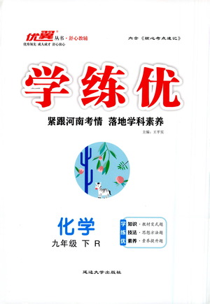 延邊大學出版社2021學練優(yōu)化學九年級下冊人教版河南專版答案