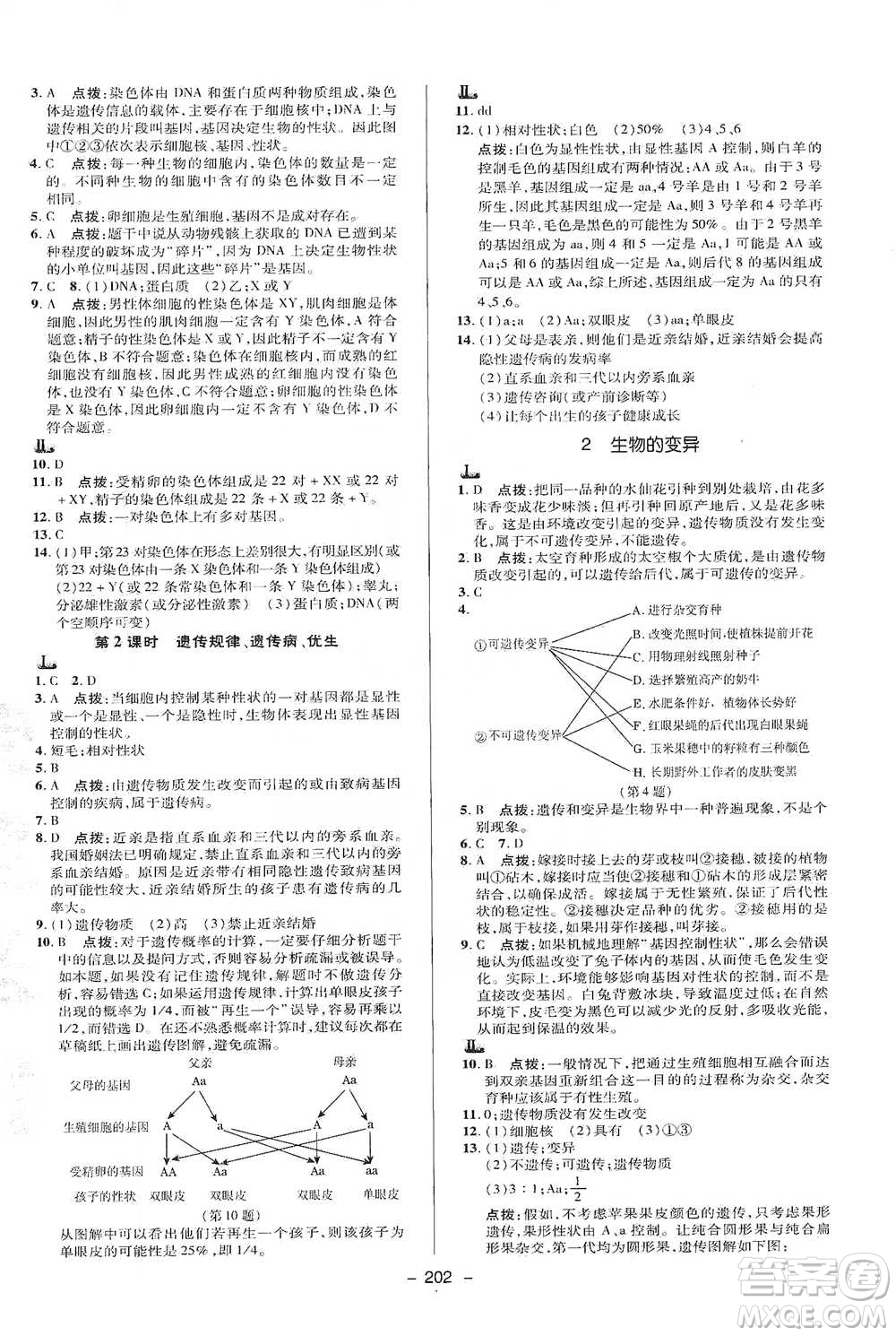 陜西人民教育出版社2021典中點九年級全一冊科學(xué)華師版參考答案