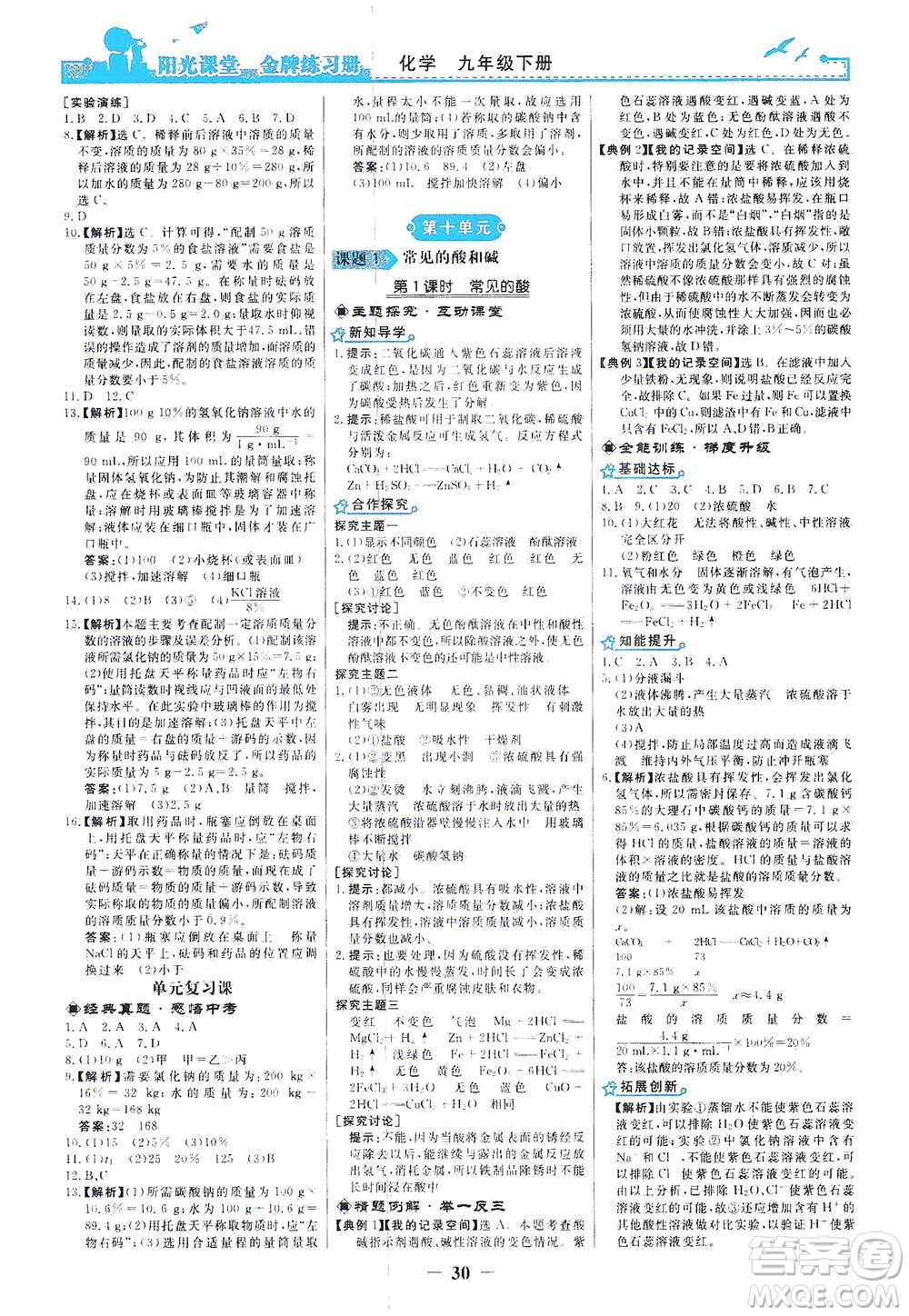 人民教育出版社2021陽光課堂金牌練習(xí)冊化學(xué)九年級下冊人教版答案