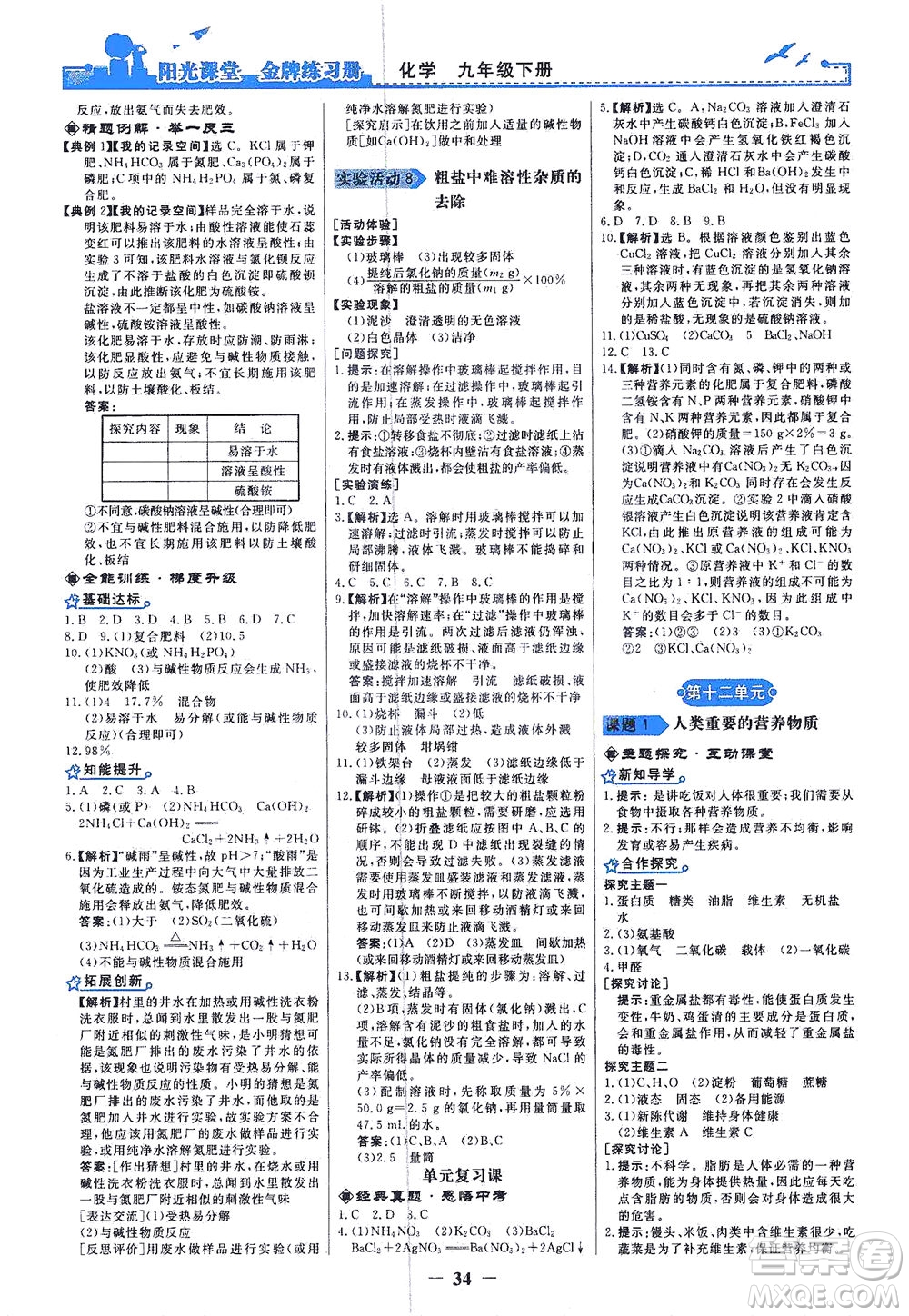 人民教育出版社2021陽光課堂金牌練習(xí)冊化學(xué)九年級下冊人教版答案