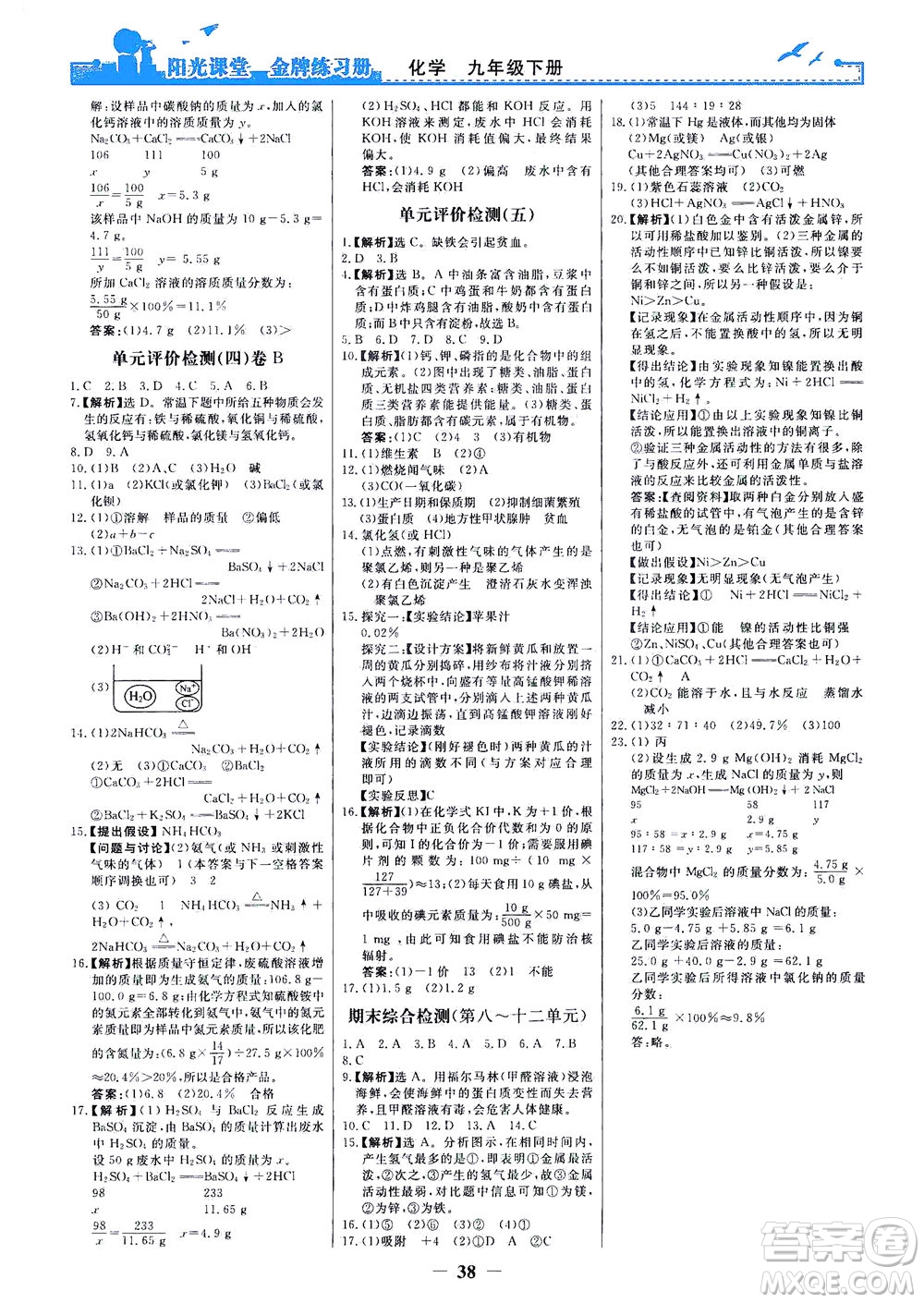 人民教育出版社2021陽光課堂金牌練習(xí)冊化學(xué)九年級下冊人教版答案