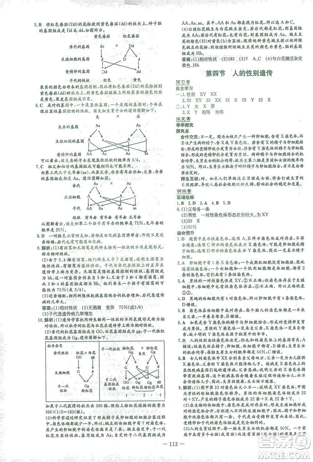 新世紀出版社2021初中同步學(xué)習(xí)導(dǎo)與練八年級生物下冊人教版答案