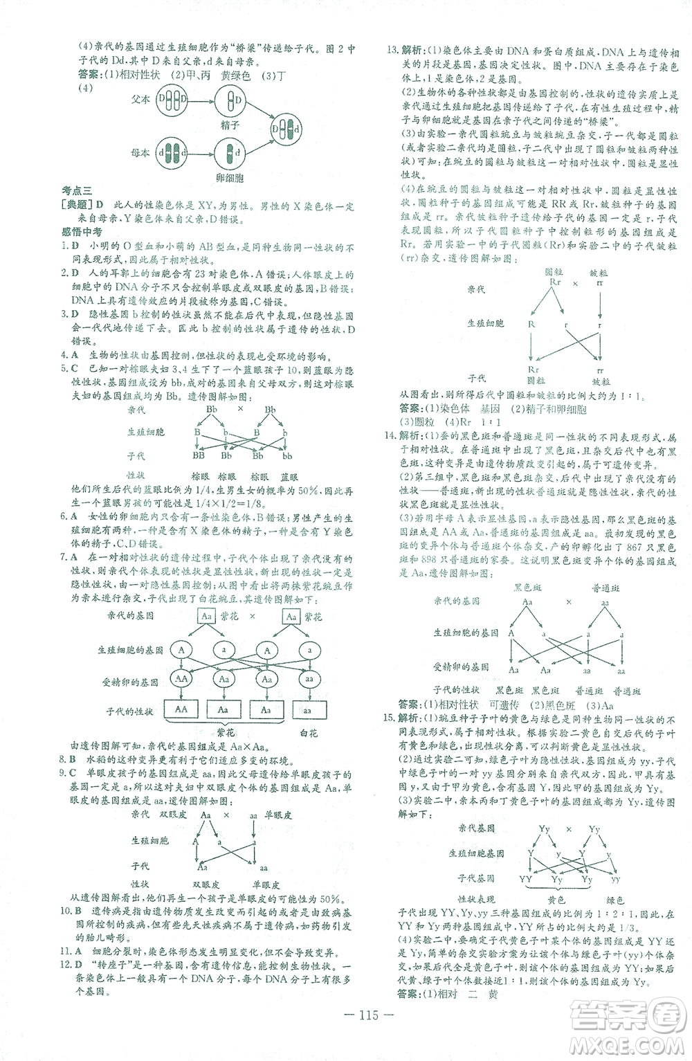 新世紀出版社2021初中同步學(xué)習(xí)導(dǎo)與練八年級生物下冊人教版答案