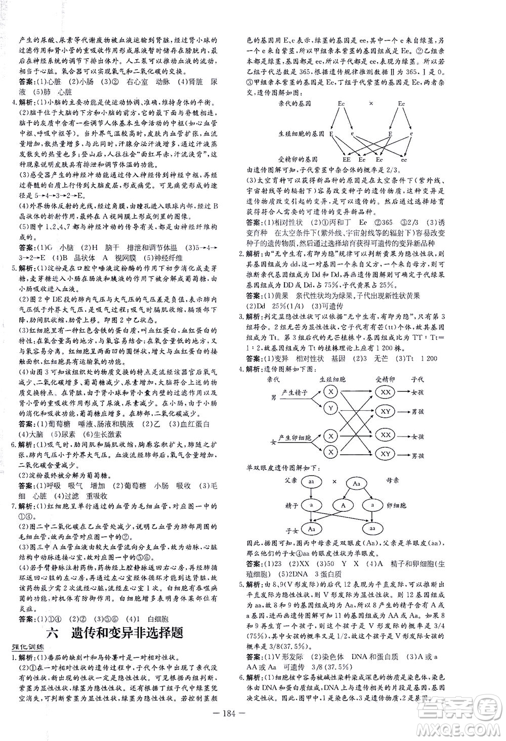 新世紀出版社2021導與練初中學業(yè)水平考試生物下冊人教版云南專版答案