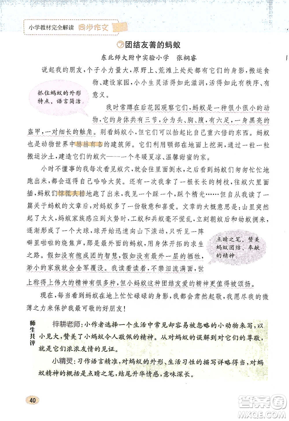 吉林人民出版社2021小學(xué)教材完全解讀同步作文四年級下冊語文參考答案