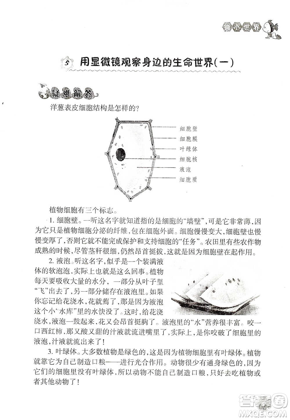 浙江教育出版社2021同步科學(xué)拓展閱讀六年級(jí)下冊教科版參考答案