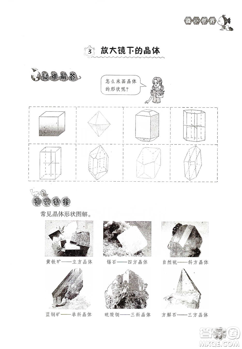 浙江教育出版社2021同步科學(xué)拓展閱讀六年級(jí)下冊教科版參考答案