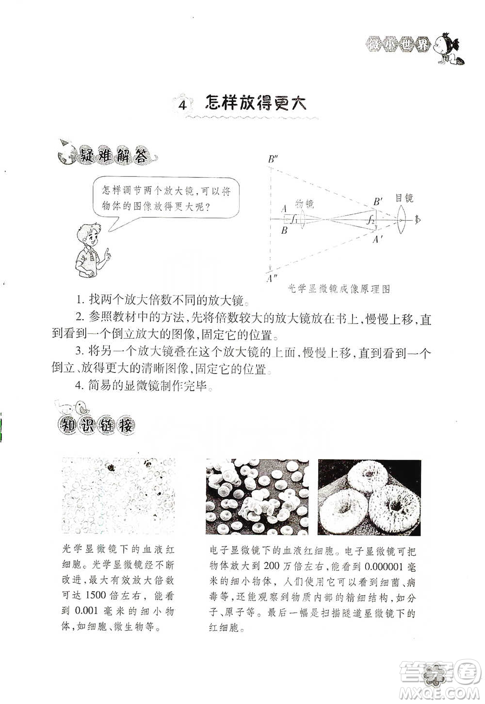 浙江教育出版社2021同步科學(xué)拓展閱讀六年級(jí)下冊教科版參考答案