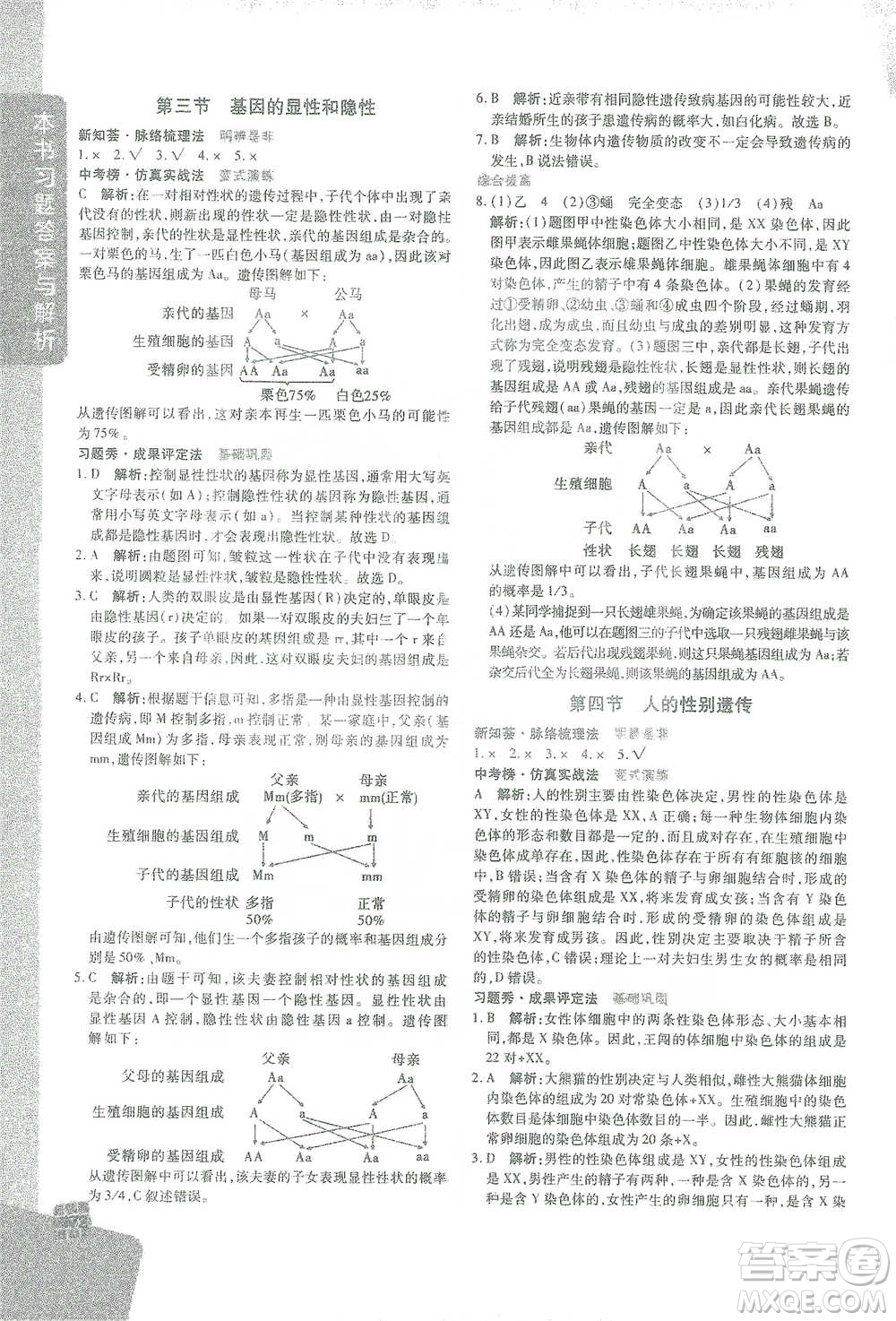 開(kāi)明出版社2021倍速學(xué)習(xí)法八年級(jí)生物學(xué)下冊(cè)人教版參考答案