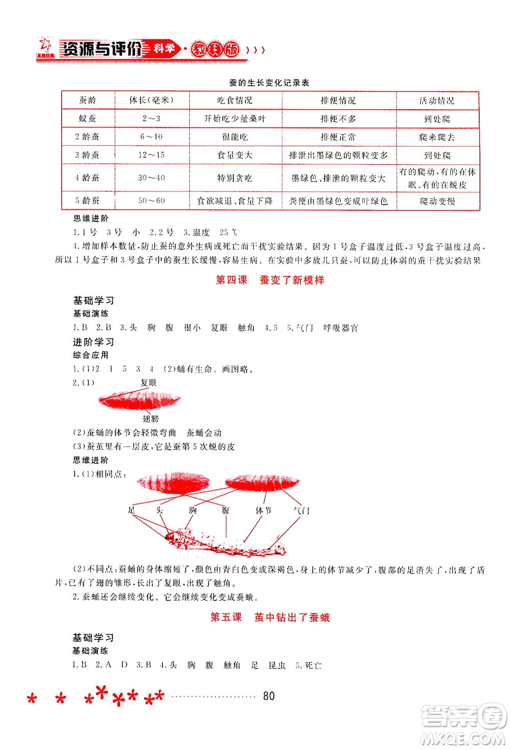 黑龍江教育出版社2021資源與評(píng)價(jià)三年級(jí)科學(xué)下冊(cè)教科版答案