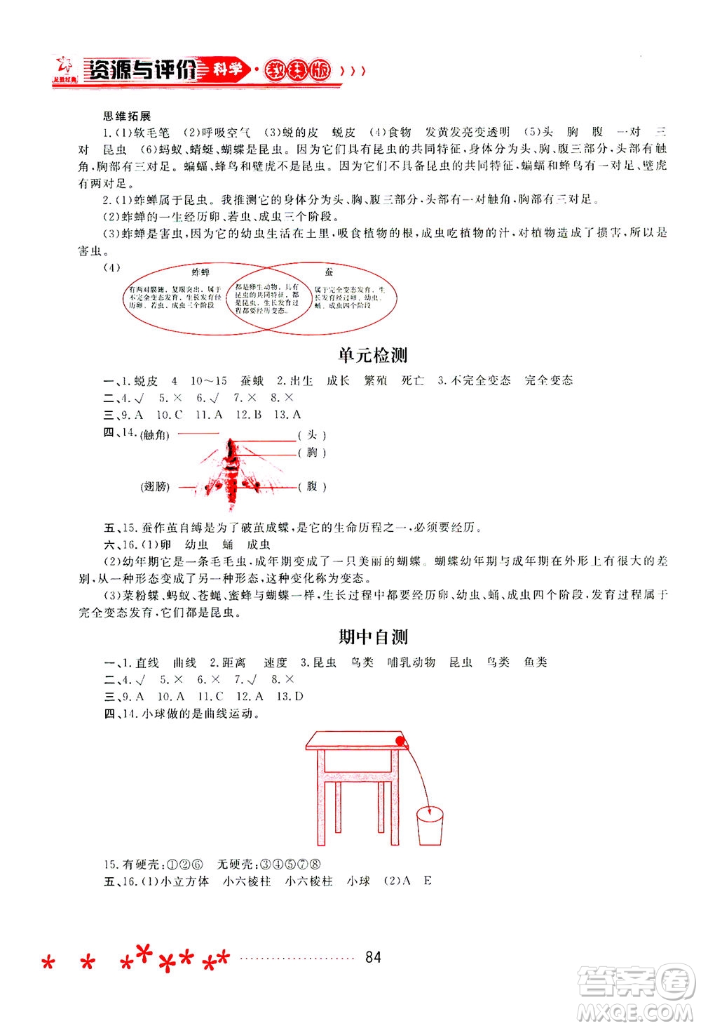 黑龍江教育出版社2021資源與評(píng)價(jià)三年級(jí)科學(xué)下冊(cè)教科版答案