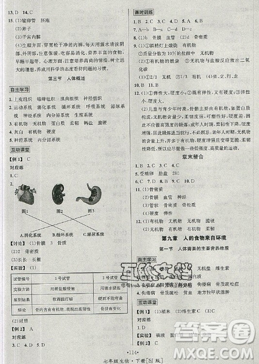 海南出版社2021名師名題生物七年級下冊SJ蘇教版答案