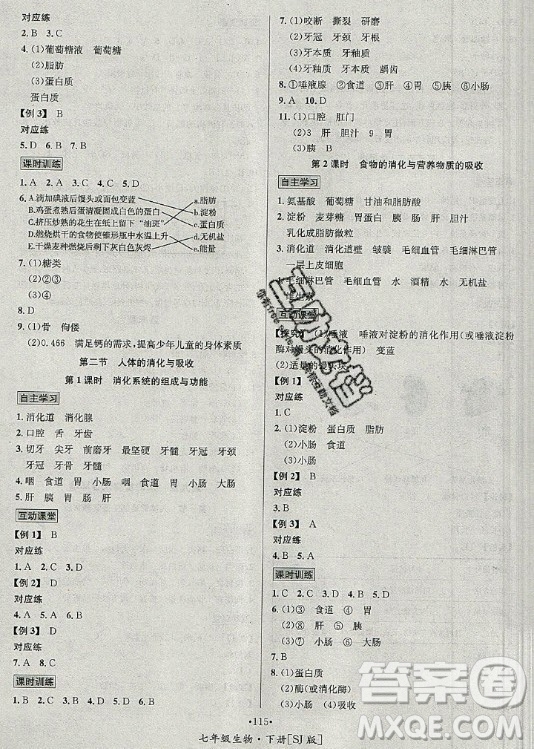 海南出版社2021名師名題生物七年級下冊SJ蘇教版答案