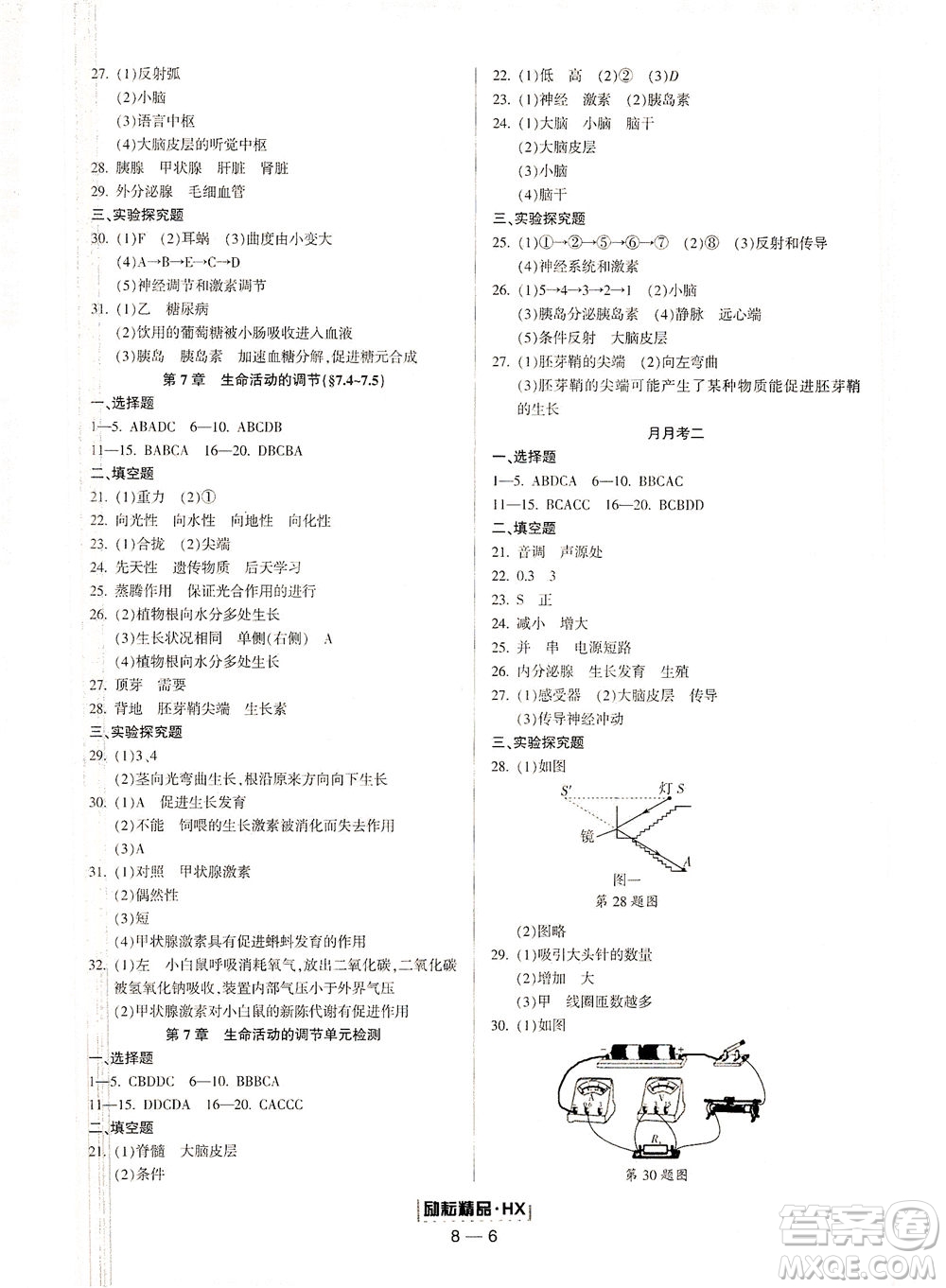 延邊人民出版社2021勵耘活頁七年級科學下冊華師大版答案