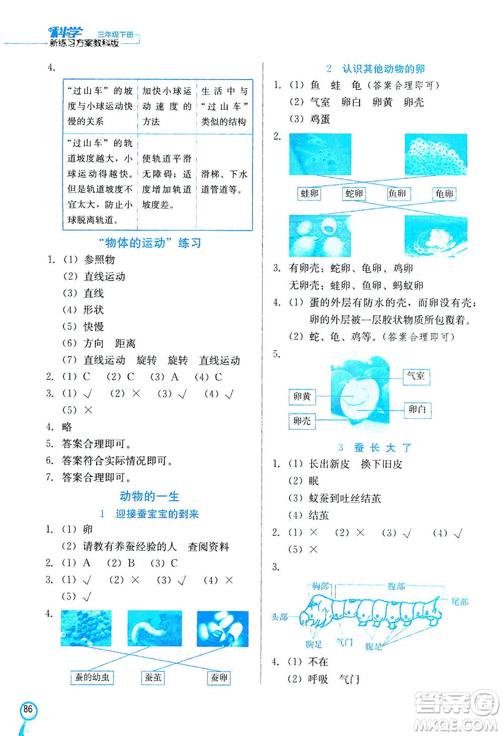 河北美術(shù)出版社2021新練習(xí)方案科學(xué)三年級(jí)下冊(cè)JK教科版答案