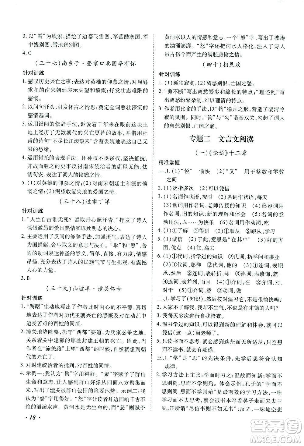 延邊教育出版社2021本土攻略精準(zhǔn)復(fù)習(xí)方案九年級(jí)語(yǔ)文下冊(cè)人教版答案