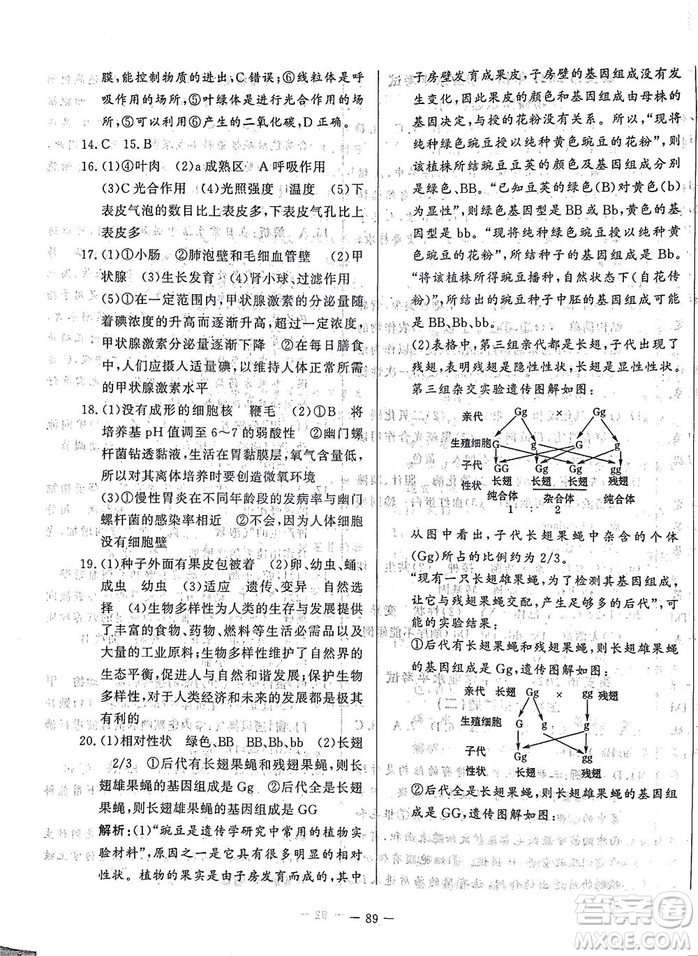 山東文藝出版社2021初中單元提優(yōu)測(cè)試卷八年級(jí)生物下冊(cè)魯教版五四學(xué)制答案