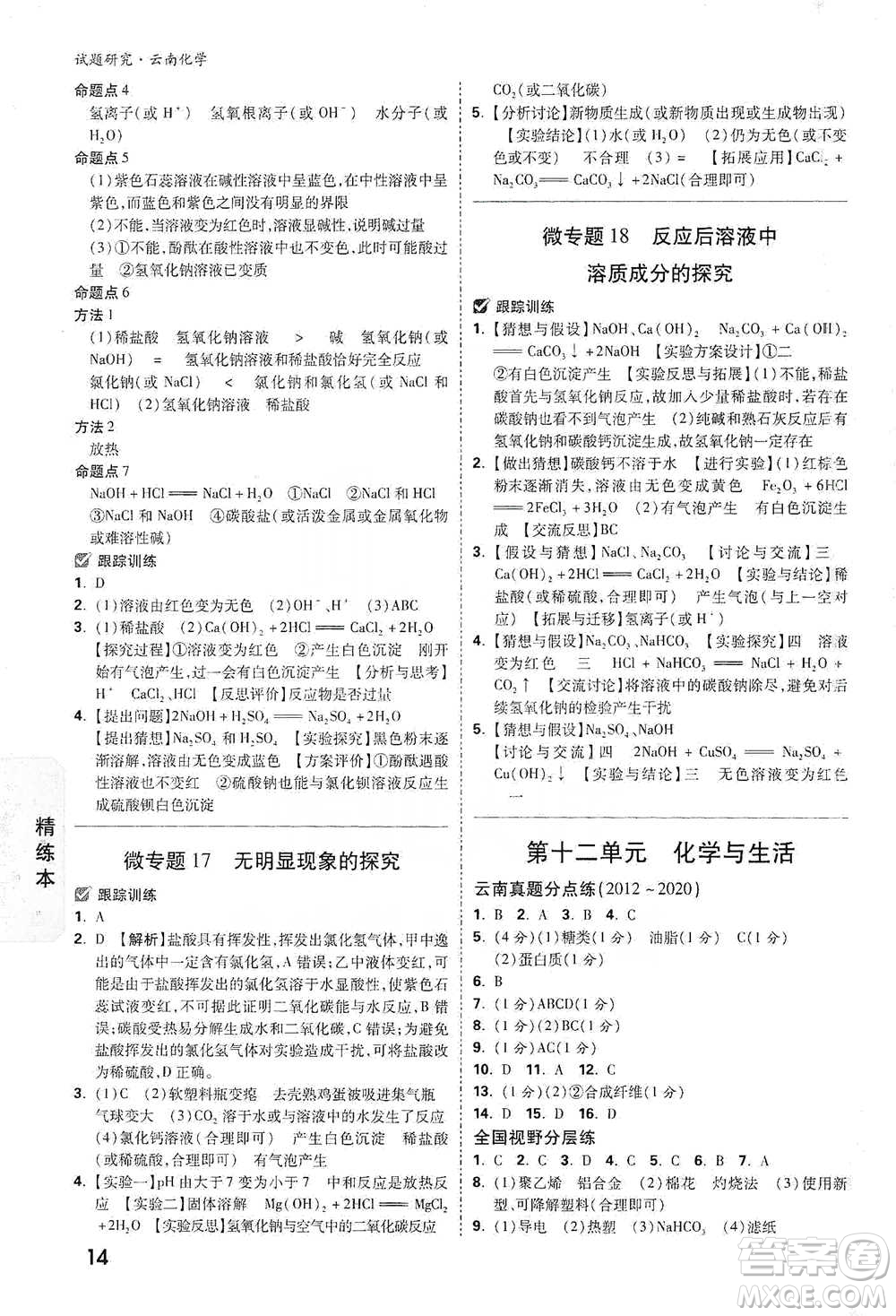 新疆青少年出版社2021萬唯中考試題研究化學云南專版通用版參考答案