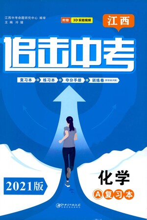 江西美術(shù)出版社2021追擊中考九年級(jí)化學(xué)下冊(cè)江西專版答案