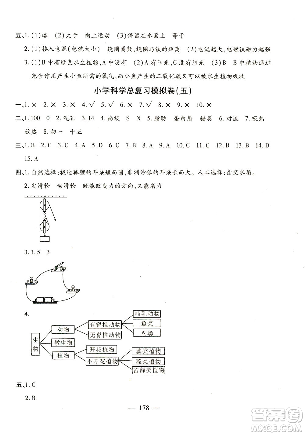 云南美術(shù)出版社2021小學(xué)畢業(yè)升學(xué)系統(tǒng)總復(fù)習(xí)科學(xué)答案