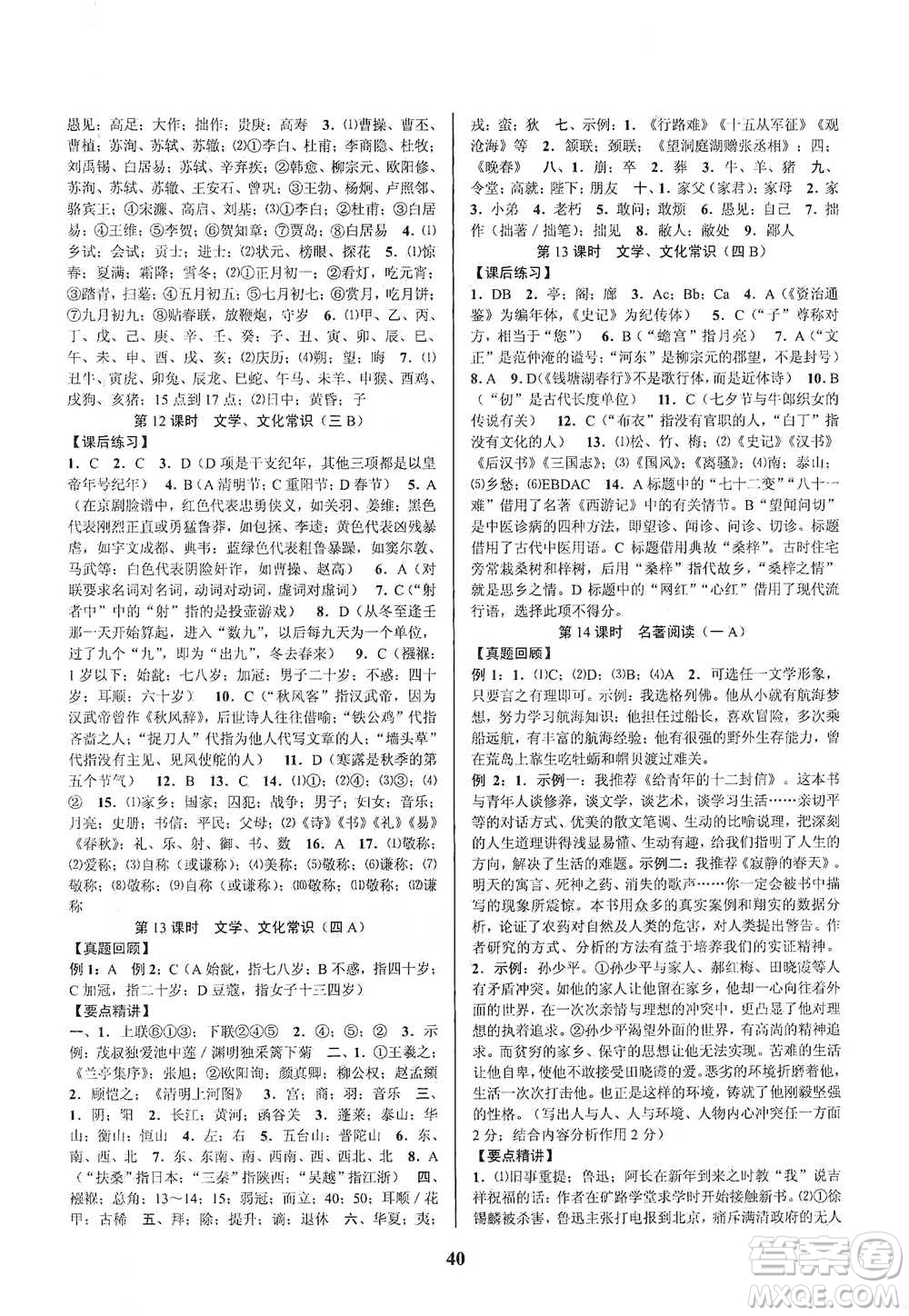 天津科學(xué)技術(shù)出版社2021初中新學(xué)案優(yōu)化與提高語(yǔ)文中考總復(fù)習(xí)參考答案