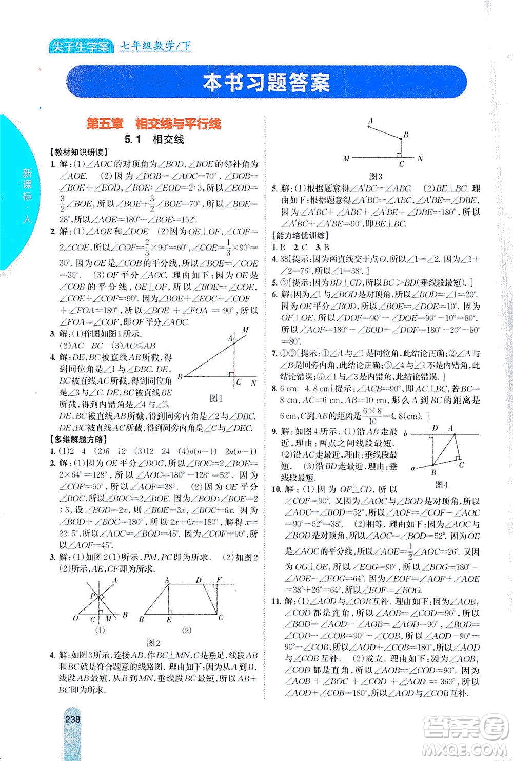 吉林人民出版社2021尖子生學(xué)案數(shù)學(xué)七年級下新課標人教版答案