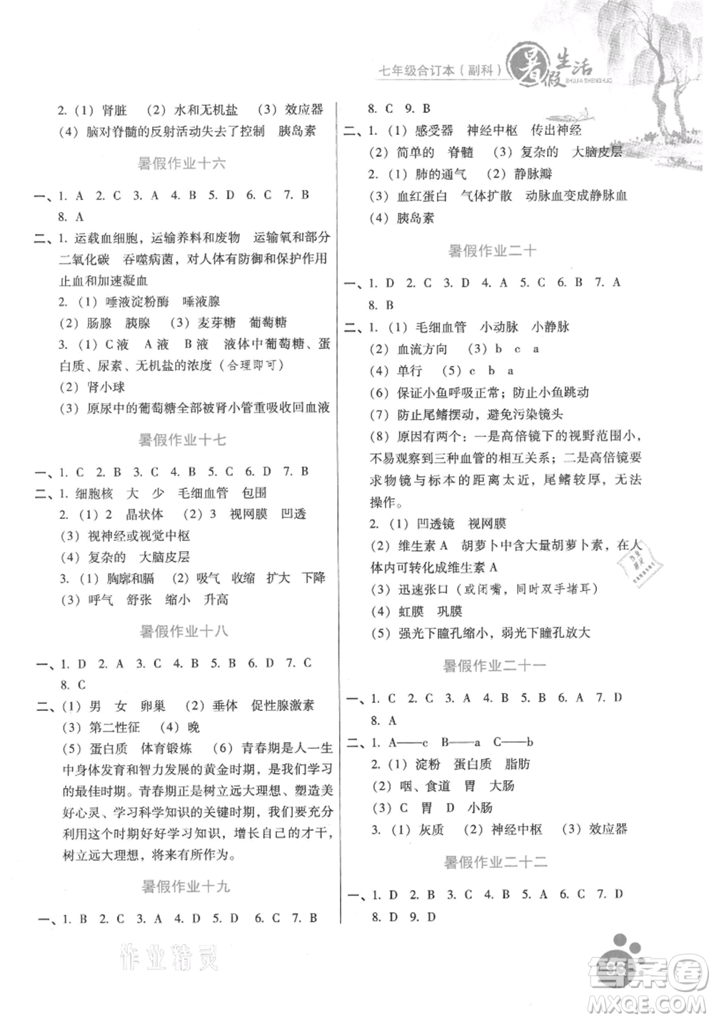 河北少年兒童出版社2021暑假生活七年級合訂本合訂本(副科)通用版參考答案