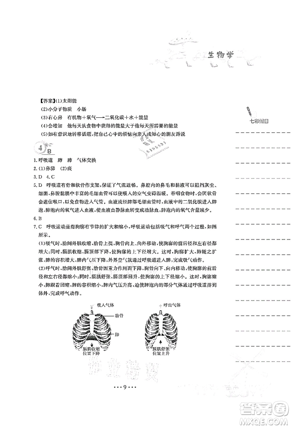 安徽教育出版社2021暑假作業(yè)七年級(jí)生物人教版答案