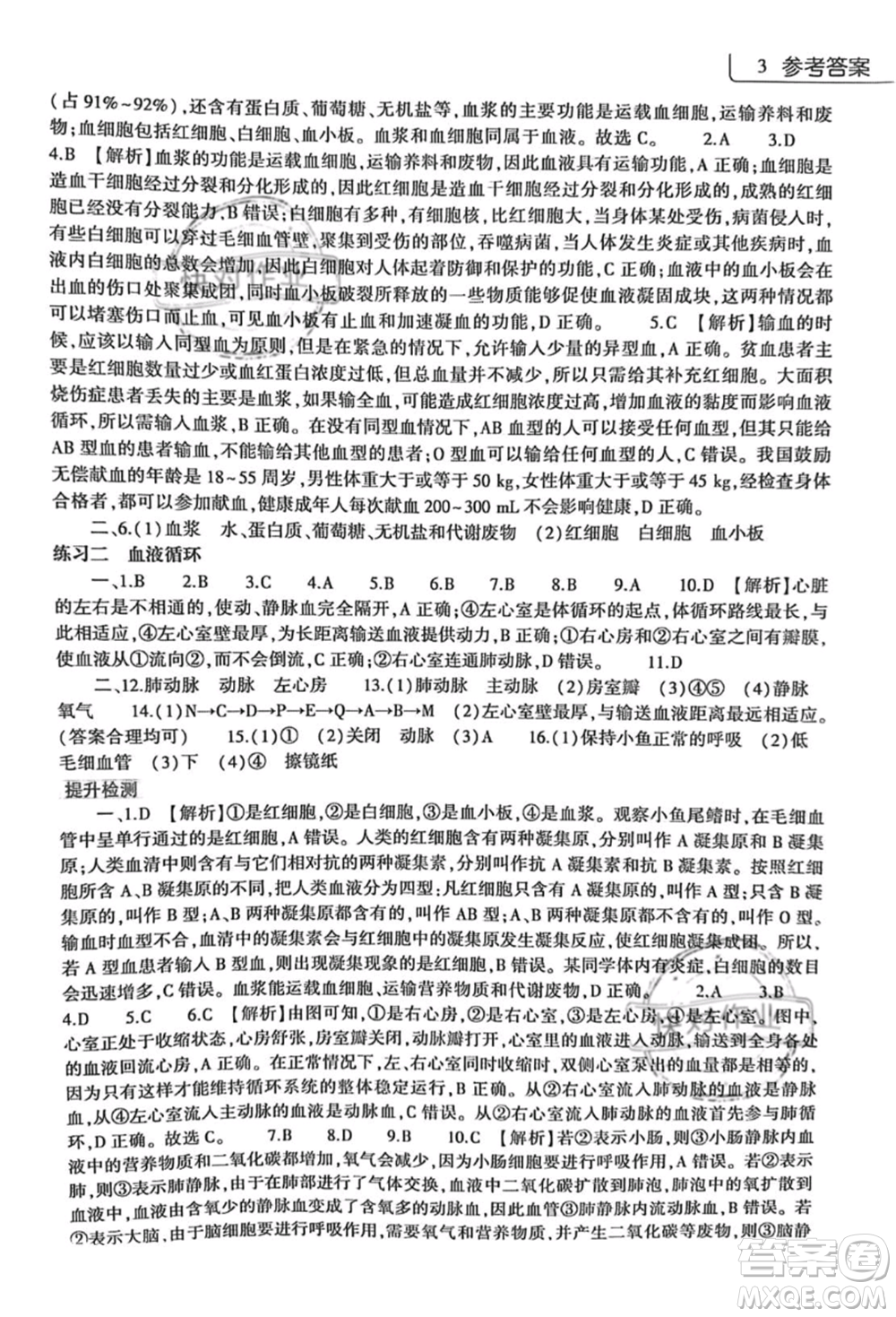 大象出版社2021生物學(xué)暑假作業(yè)本七年級(jí)北師大版參考答案