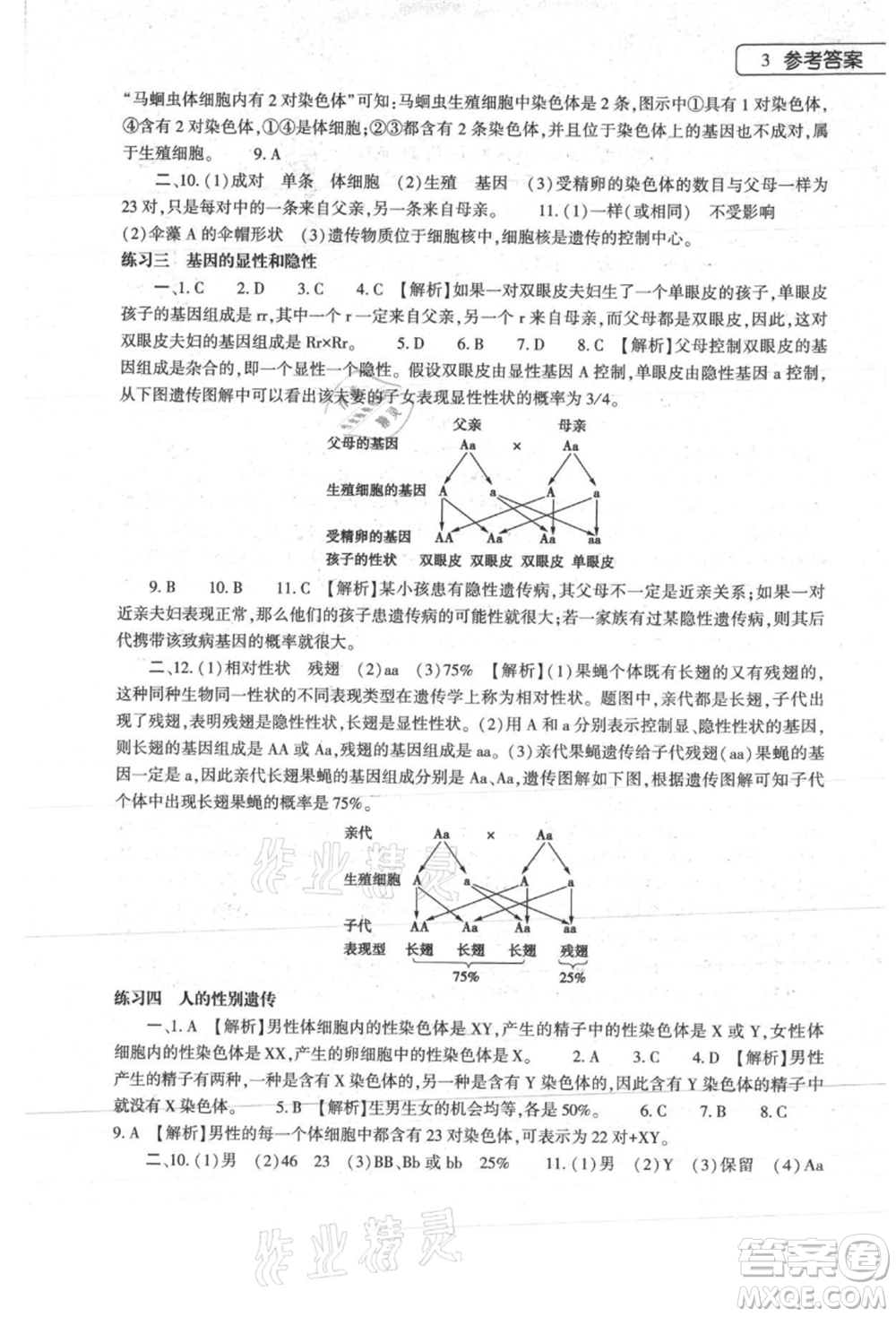 大象出版社2021生物學暑假作業(yè)本八年級人教版參考答案