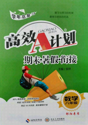 海南出版社2021高效A計劃期末暑假銜接數(shù)學八年級邵陽專版答案