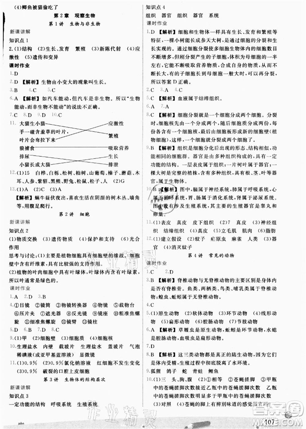 寧波出版社2021名師派暑假銜接小升初科學(xué)答案