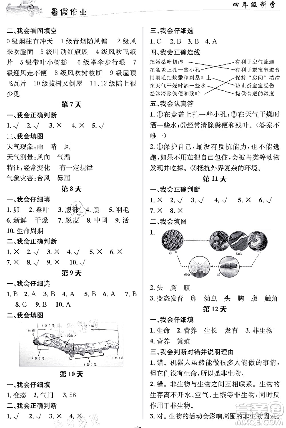 長江出版社2021暑假作業(yè)四年級(jí)科學(xué)人教版答案