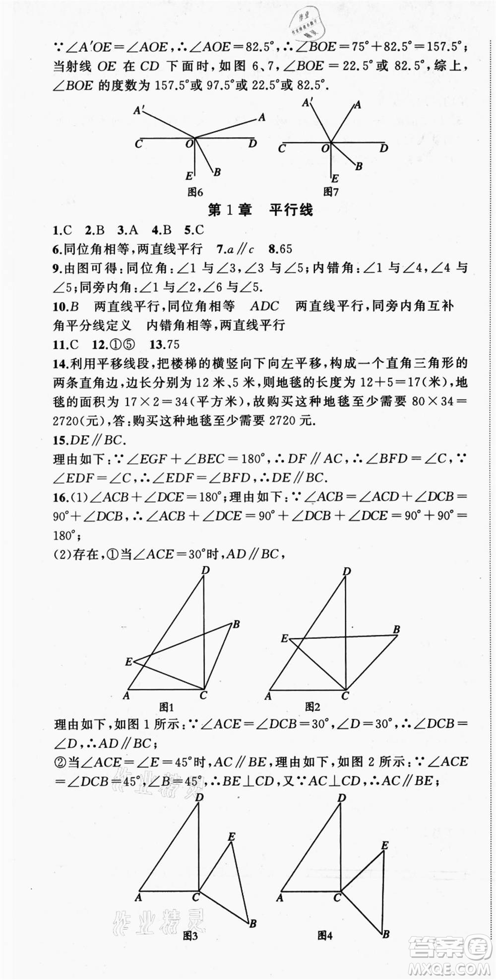 浙江工商大學出版社2021暑假銜接培優(yōu)教材七升八數(shù)學浙教版參考答案