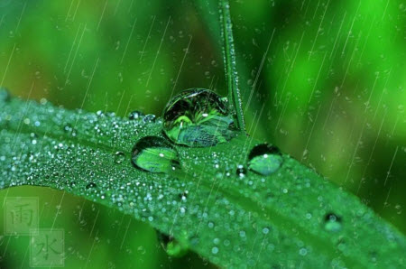 聽雨的心聲為題作文600字 關(guān)于聽雨的心聲的作文600字