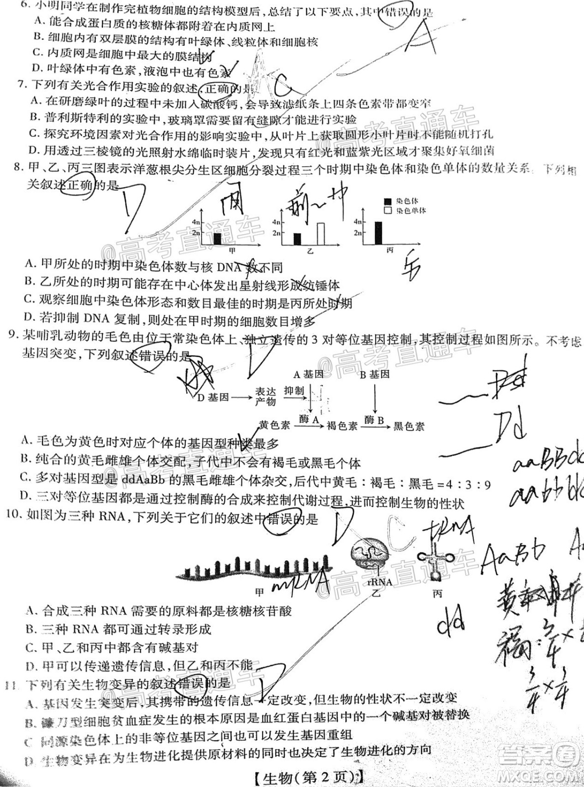 江西贛撫吉名校2022屆高三聯(lián)合考試生物卷答案