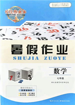 湖北教育出版社2021長江作業(yè)本暑假作業(yè)七年級數學通用版答案