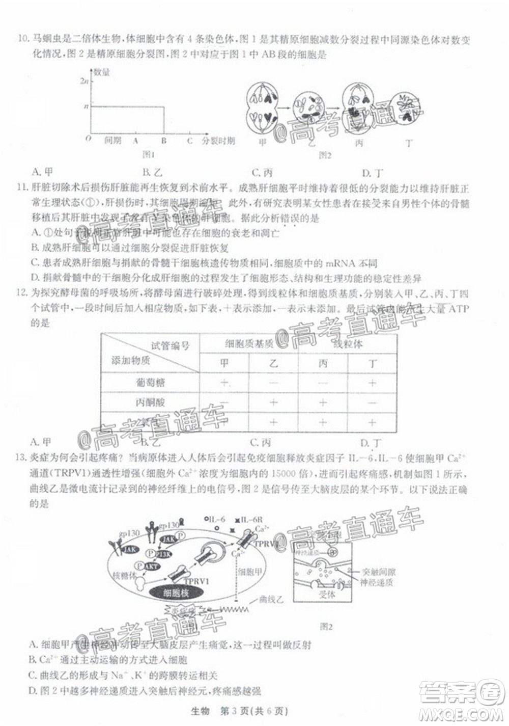 廣東省2022屆高三8月階段性質量檢測生物試題及答案